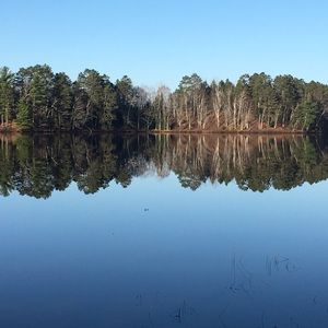 Meet your Posher, Marion