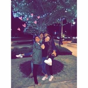 Meet your Posher, Sydney