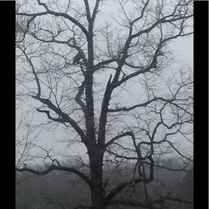 Meet your Posher, Sandy