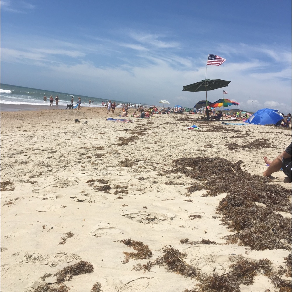 Meet your Posher, Bliss