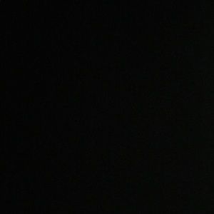 Meet your Posher, Chastity