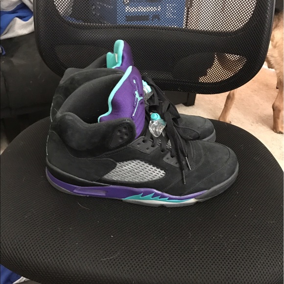 Jordan 5 'Black Grape" size 10.5, open for trades - Picture 2 of 4