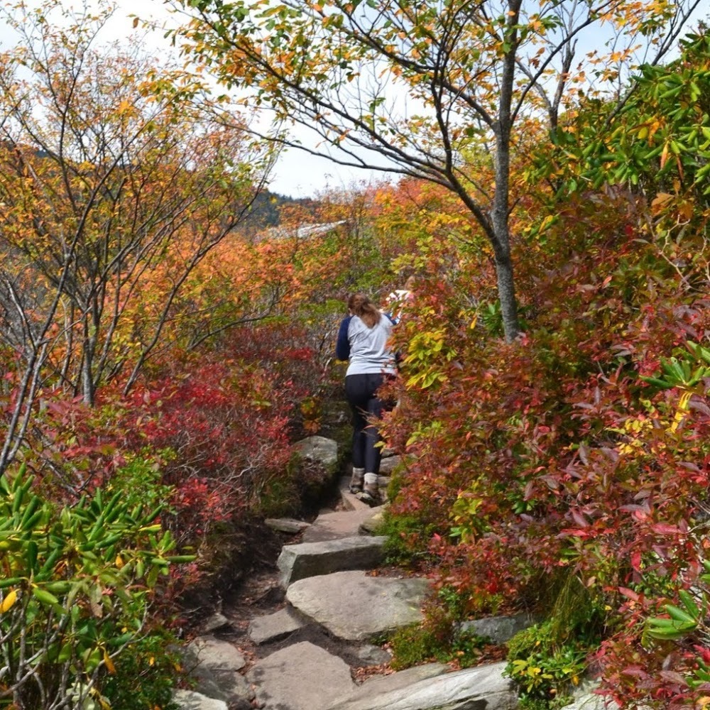 Meet your Posher, Karsin