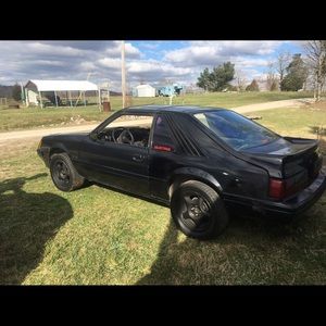 Meet your Posher, Tracy