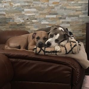 Meet your Posher, Britnie