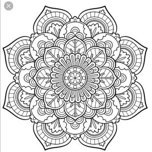 Meet your Posher, Anike