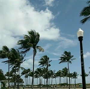 Meet your Posher, Daniela