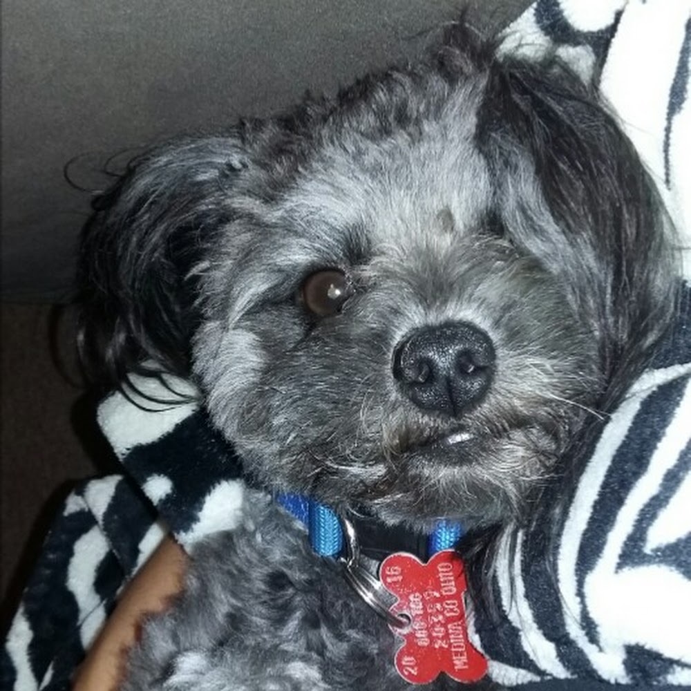 Meet your Posher, Jill & anthony