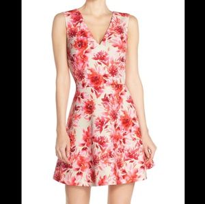 Felicity & CoCo sleeveless fit & flare dress