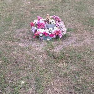 Meet your Posher, Demetriaah