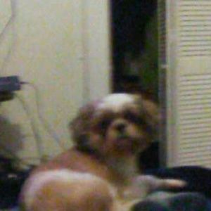 Meet your Posher, Maria