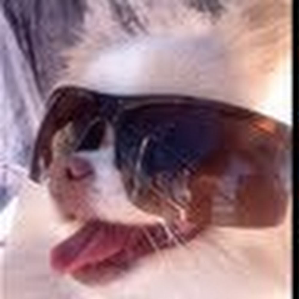 Meet your Posher, Yanying