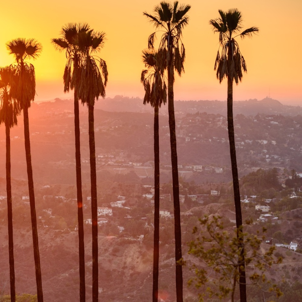 Meet your Posher, Mariel