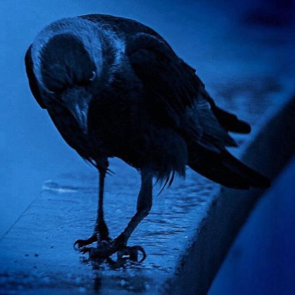 Meet your Posher, Breanna