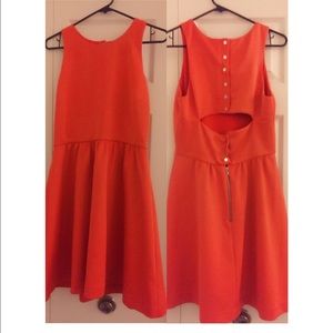 Burnt Orange Skater Dress
