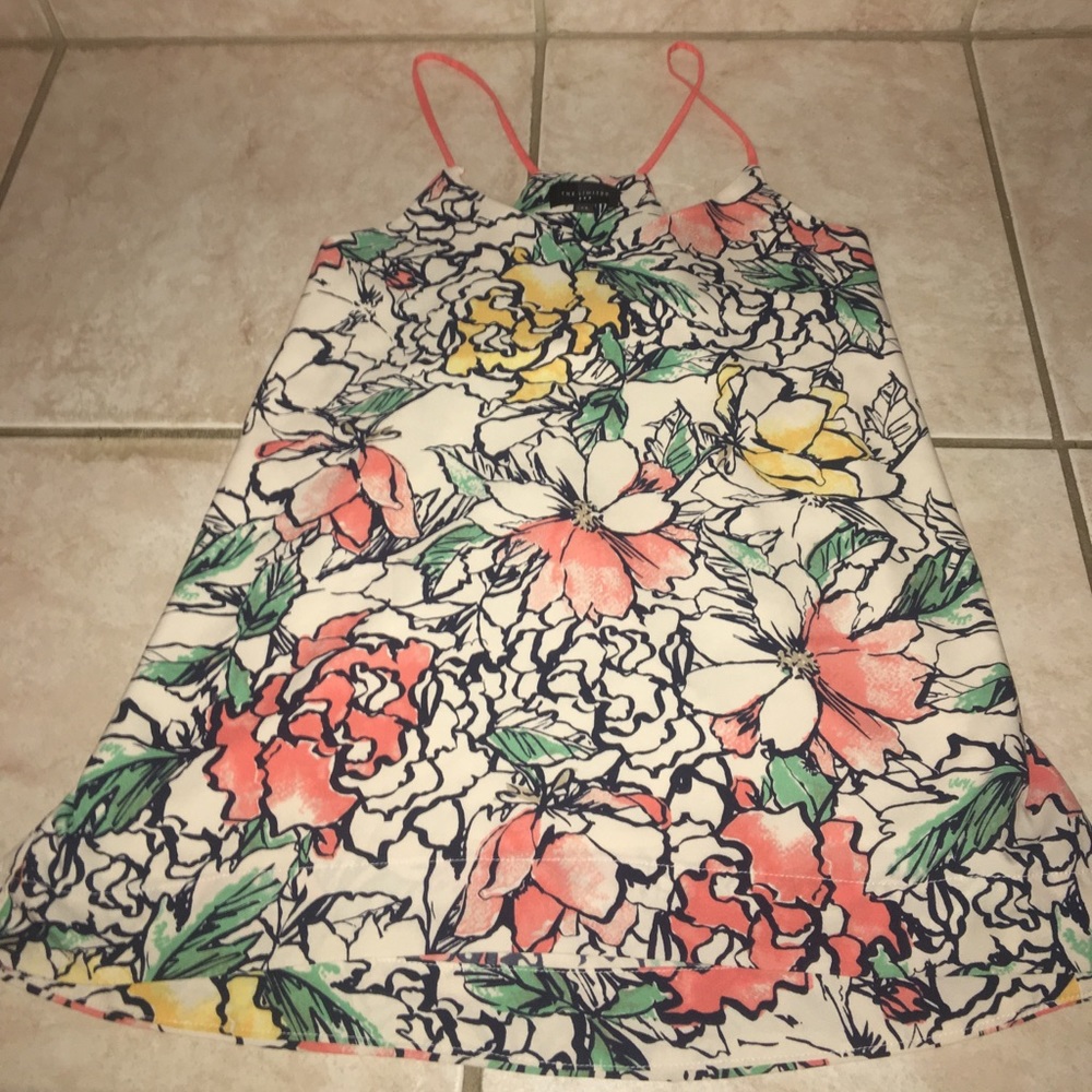 The Limited XS blouse