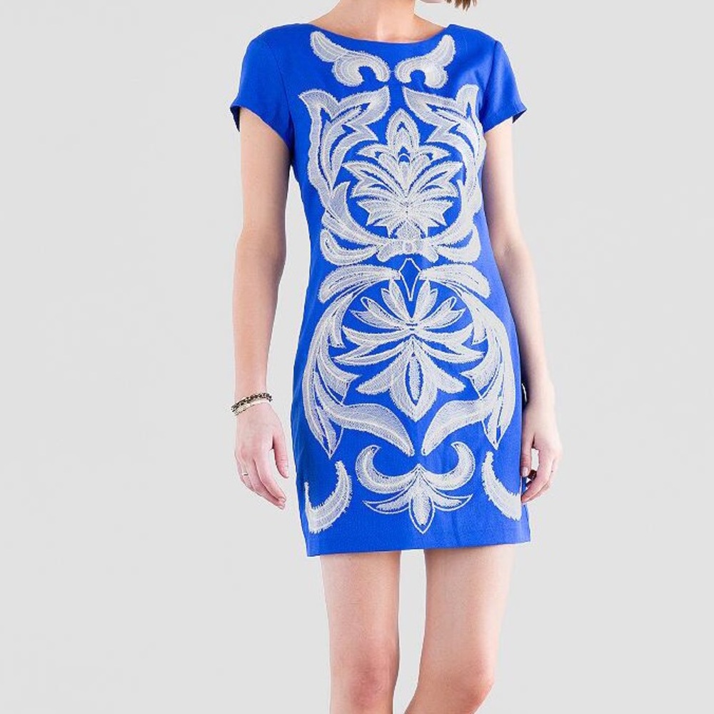 Blue embroidered dress