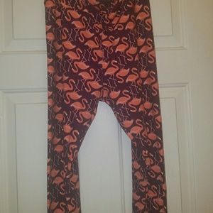 Lularoe Tc flamingo wore 2 times