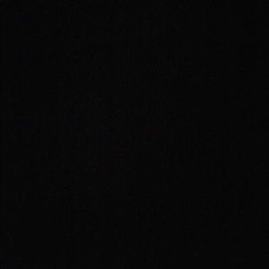 Meet your Posher, Gavin