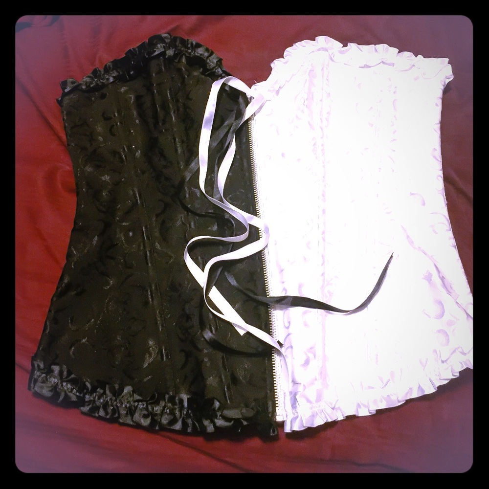 NWOT Embroidered Silk Corset