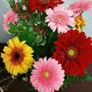 Meet your Posher, Dottie