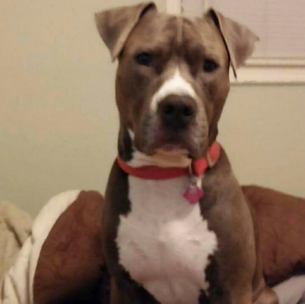 Meet your Posher, S.