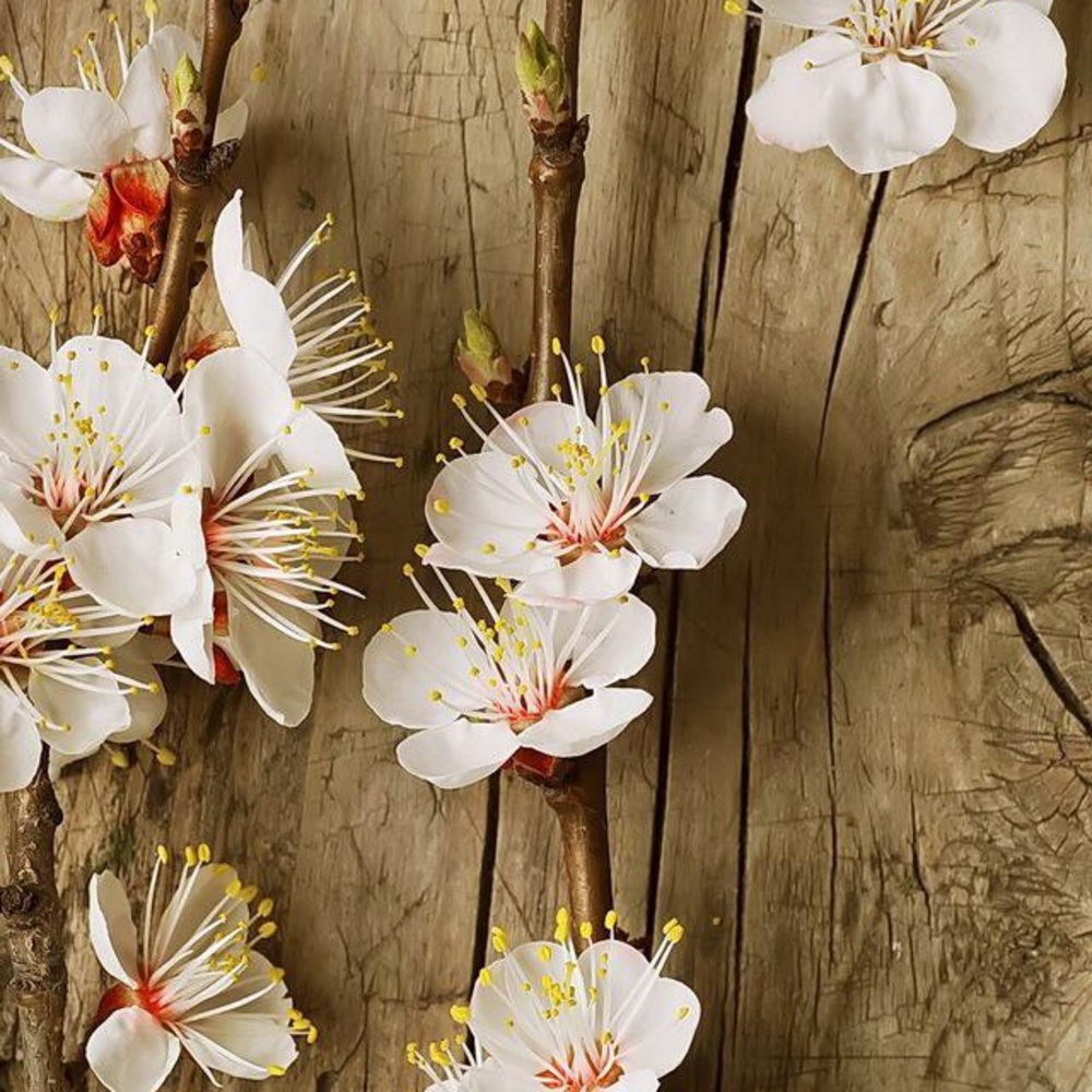 New Posts Up! Feel free to bundle/ make an offer!