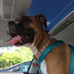 Meet your Posher, Guillermo