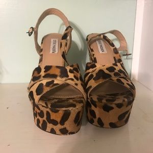 Steven Madden Platform
