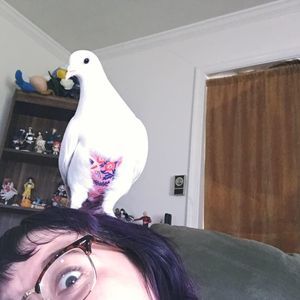 Meet your Posher, Kayla