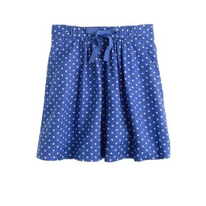 Jcrew Blue Polka Dot Skirt