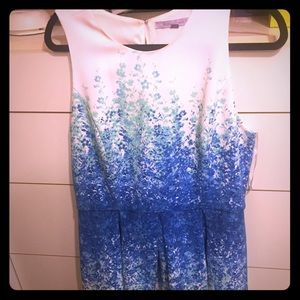 Dressbarn Carmen Marc Valvo Dress