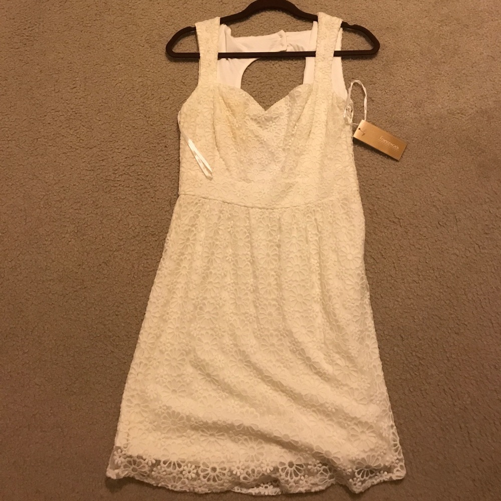 Francesca's lace cut out white dress