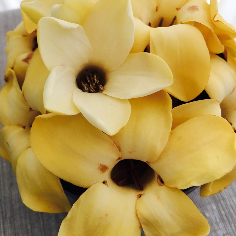 Meet your Posher, Jadelynn