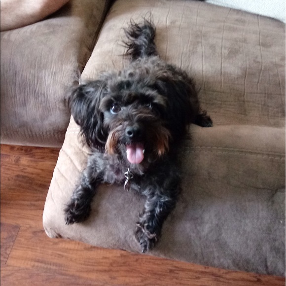 ALL OFFERS WELCOME! - Picture 5 of 6