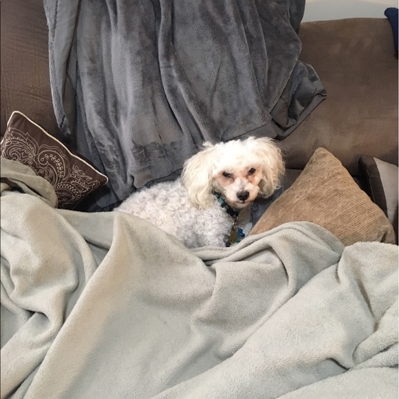 ALL OFFERS WELCOME! - Picture 6 of 6