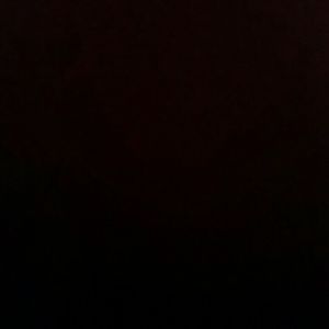 Meet your Posher, Ronald