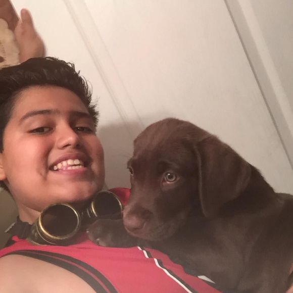 Meet your Posher, Jonadab - Picture 1 of 1