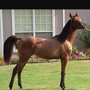 Meet your Posher, Lucy