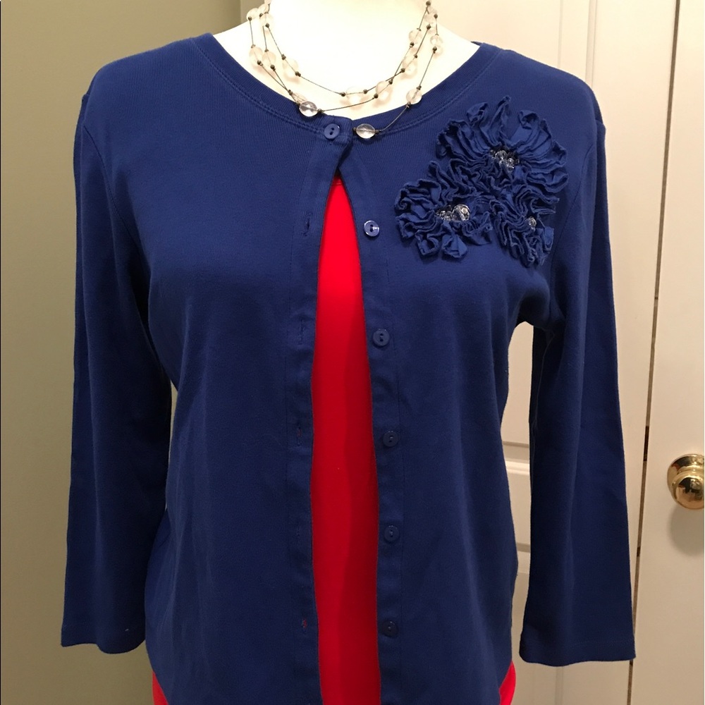 🌸Rafaela Petite Sweater🌸