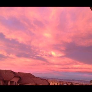 Meet your Posher, Roberta