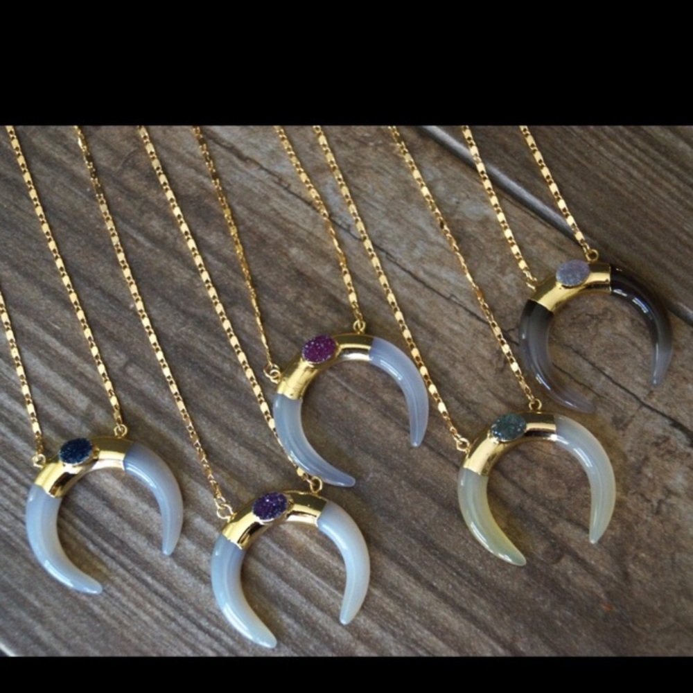 Agate and Druzy horn pendant on 30" chain!