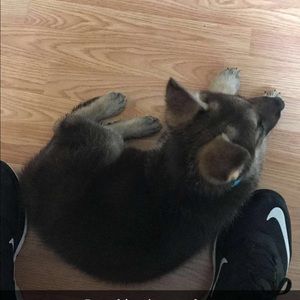 Meet your Posher, Bryan