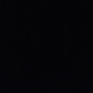 Meet your Posher, Trevor