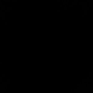 Meet your Posher, Mona