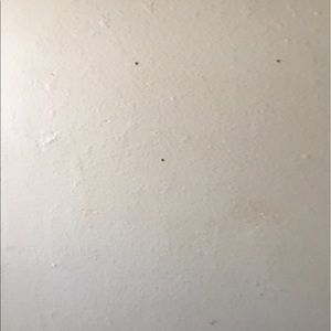 Meet your Posher, Marilyn