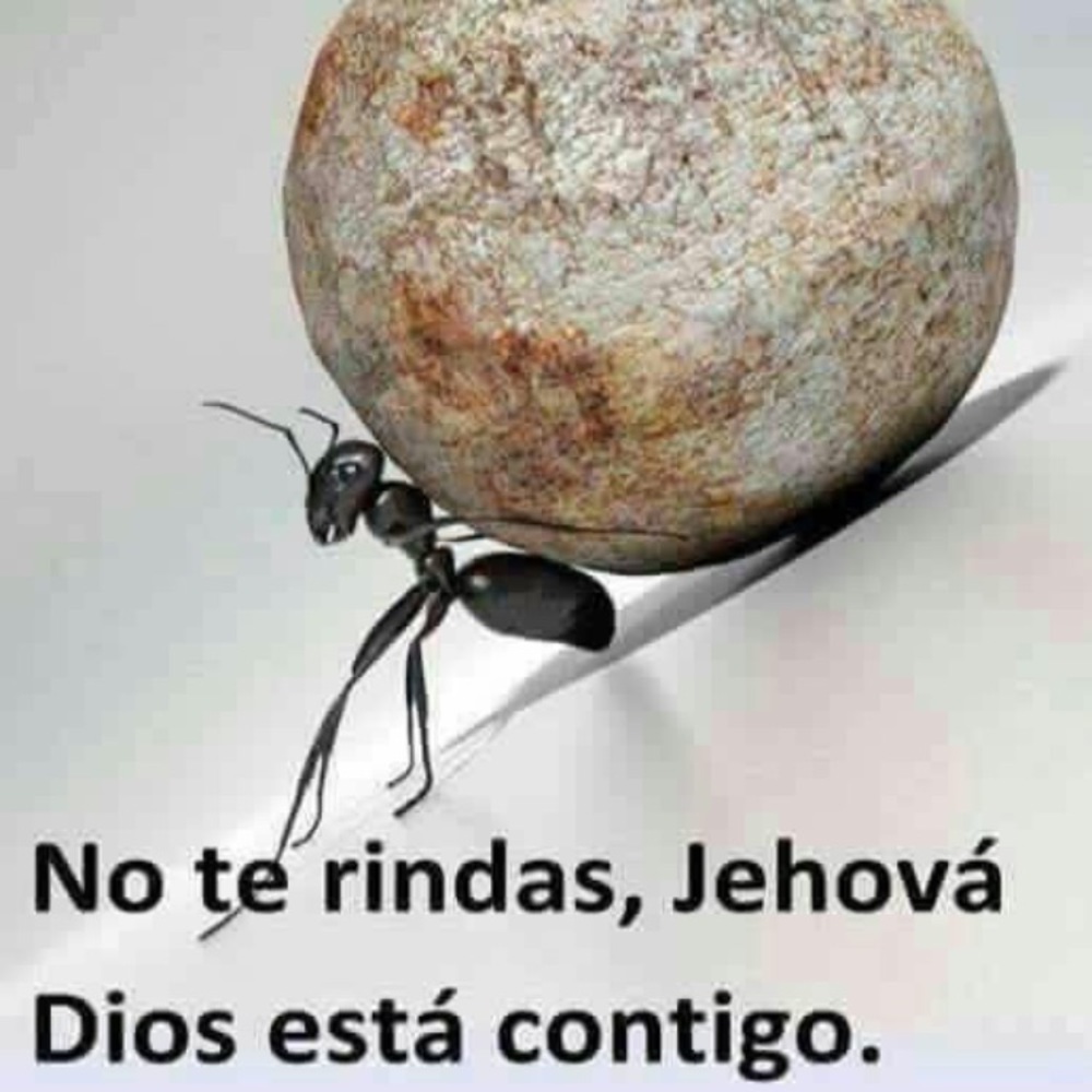 Meet your Posher, Lucy