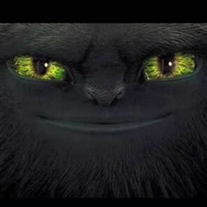 Meet your Posher, Yosi