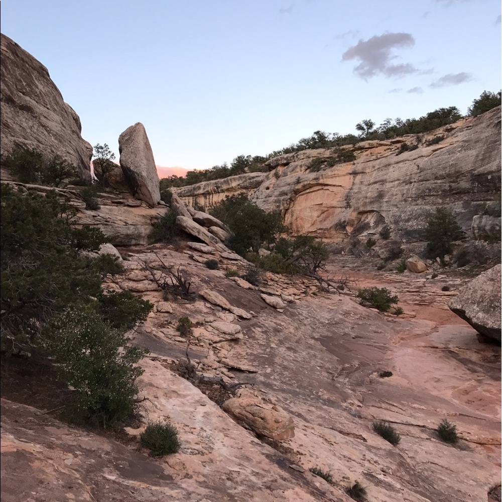 Meet your Posher, Allison