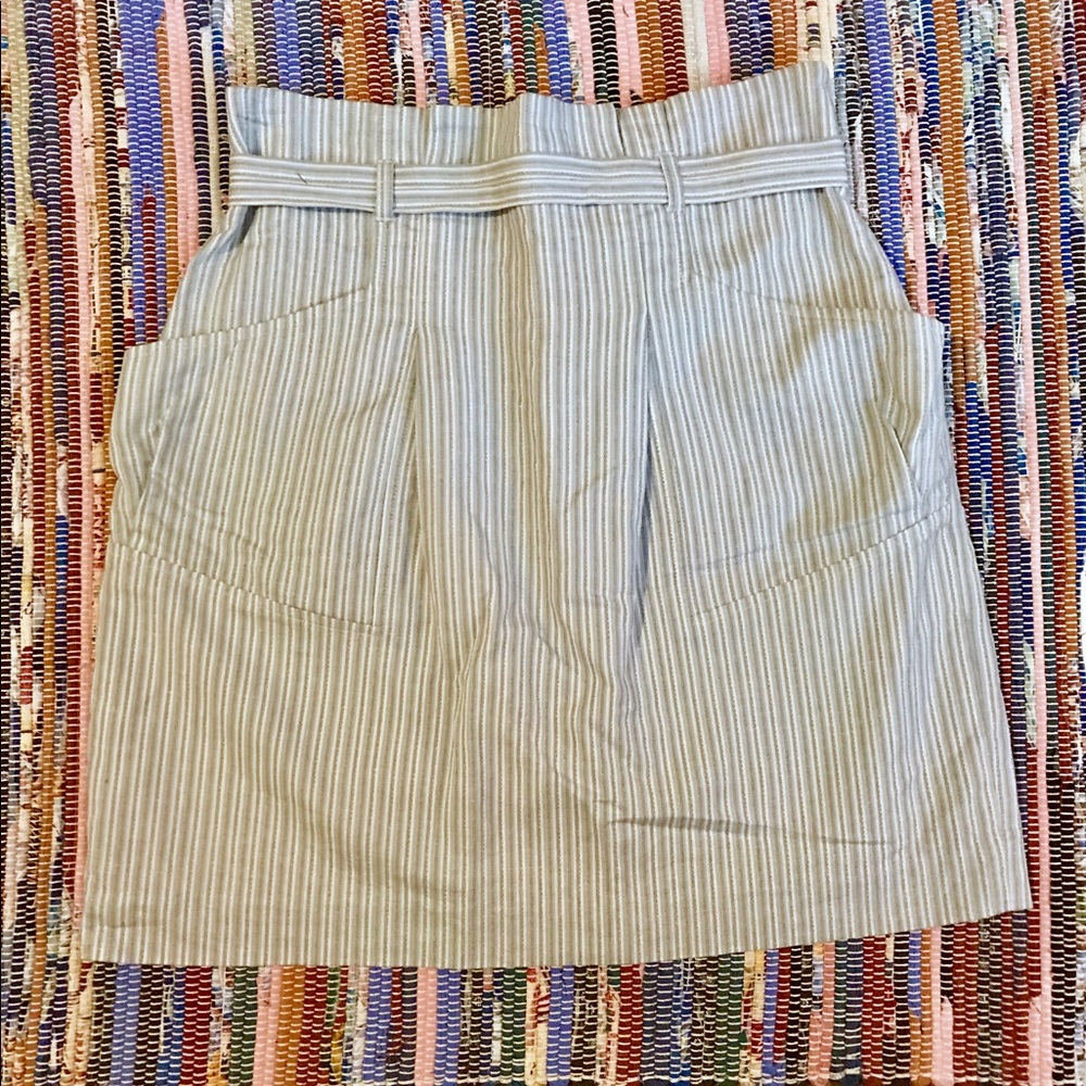Mini Skirt - image 1